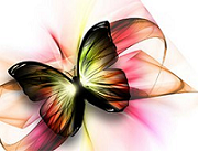 Butterfly170688