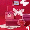 novel